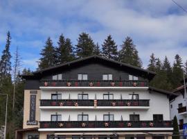 Manor Ski Hotel, hotel em Predeal