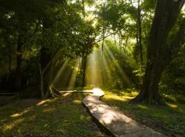 Hotel Nututun Palenque