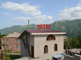 Hotel Foto: Hotel Halidzor