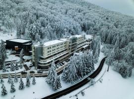 Balvanyos Resort - Peakture Hotel & Grand Hotel Balvanyos, хотел в Балваниос