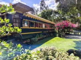 Los Vagones de William