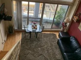 933 seymour at vancouver downtown