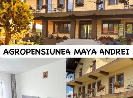 Agropensiunea Maya-Andrei, hotel em Novaci-Străini