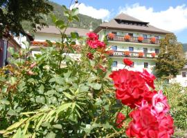 ホテル写真: Hotel Gasthof Zur Linde