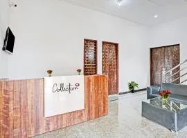 Collection O The Royal Fern