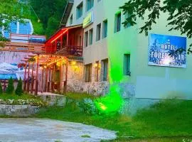 Hotel Forest Star on the Ski Slope