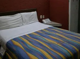 El Pino - Hotel Economico Guadalajara
