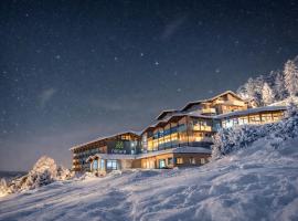 Natura Hotel Bodenmais - inkl Soft- und Heißgetränkeflat, хотел в Боденмайс