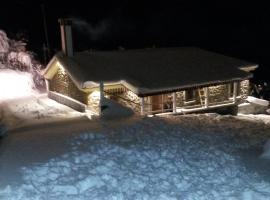 Litheon House, Hotel in Synikia Mesi Trikalon