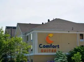 Comfort Suites Scranton near Montage Mountain