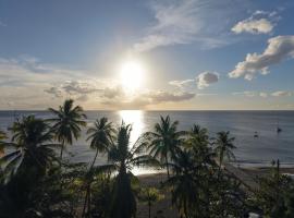 Bungalow sur la plage Barracuda, hótel í Le Carbet