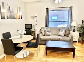 Entire Apt in Heart of Chicago