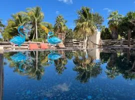 Flamingo Blue - Casa Boutique - Adults Only