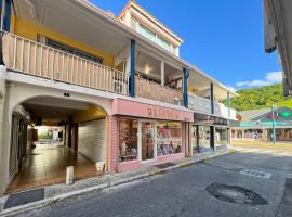 Studio cosy hypercentre Saint-Martin, hotel in Marigot