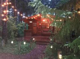 Fancy Fireflies Cabin