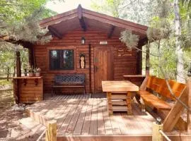 Honeybear Hideaway Cabin