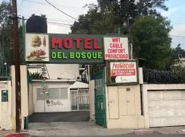 Hotel Del Bosque