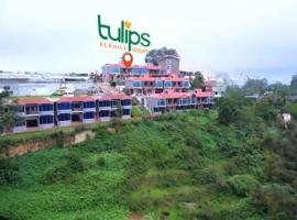 Tulips Resorts - Elkhill, hotel sa Ooty