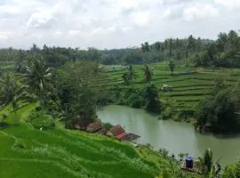 Live lombok homestay