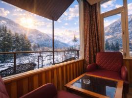Mountain View Hotel, hotel em Manali