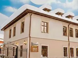 IRIS BOUTIQUE - 4Star Bed & Breakfast Residence in Vatra Dornei