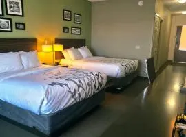 Express Inn & Suites