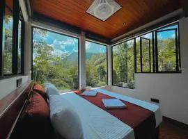 Rainforest cabin