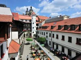 Hotel Brauhaus Wittenberg, hotel in Lutherstadt Wittenberg