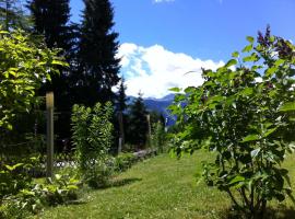 Hotel fotoğraf: Chalet Hannes