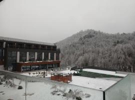 Hotel Ramonda, hotel en Boljevac