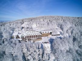Hotel Tanečnica, hotel i Pustevny