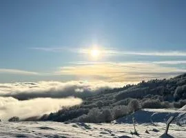 AETIA -TSIOURGIAKA MPATSILAS Group