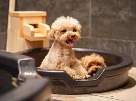 ゆるり箱根withDOGS