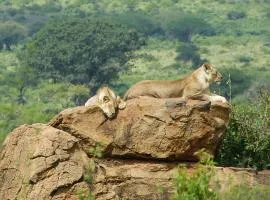 Tausa Tsavo Eco Lodge
