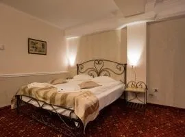 Hotel Aviator Boutique, hotel in Otopeni