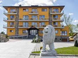 Hotel Galica