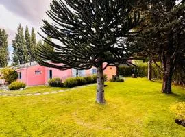 Araucaria, Casa Patagonica