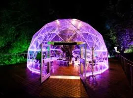 Forum Homini Boutique Hotel