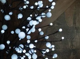 The Green Escape Suite