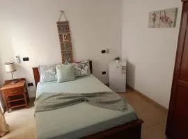 City Center Near Beach B&B