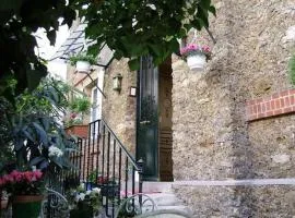 Hotel Windsor Home