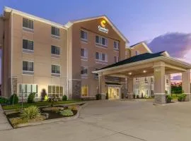 Comfort Inn & Suites Marion I-57