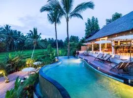 Calma Ubud Suite & Villas - Rice Fields View, Infinity Pool !