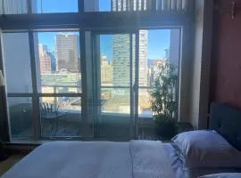 933 seymour at vancouver downtown