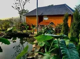 Thành An Homestay