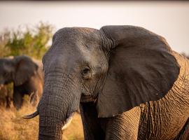 Hlane Royal National Park, hotel em Simunye