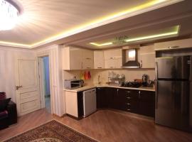 A picture of the hotel: Lux Apartment on Dilara Aliyeva 241
