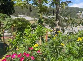 DALAT INN garden stay