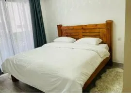 Julius nyerere Aiport Transit