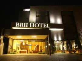 Viesnīca Brii Hotel pilsētā Aragvaina